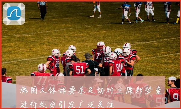 韩国文体部要求足协对主席郑梦奎进行处分引发广泛关注
